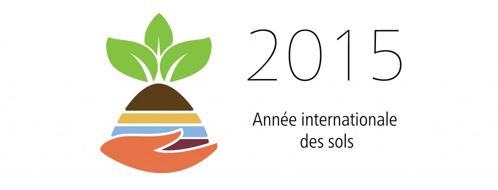 LOGO_IYS_fr_Print